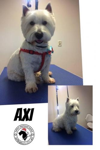 axi
