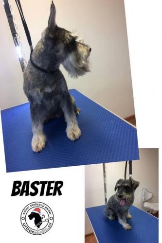 baster