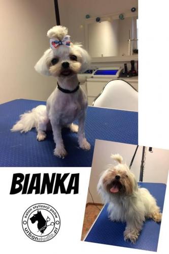 bianka