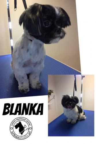 blanka