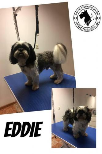 eddie