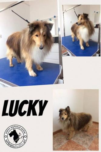 lucky