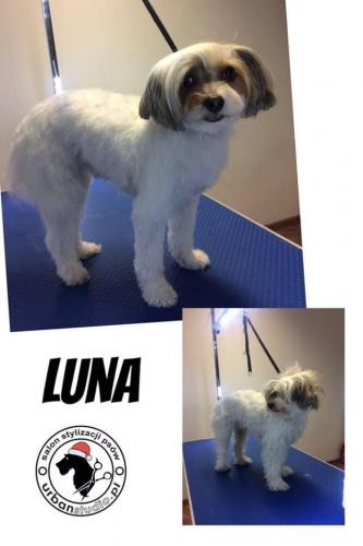 luna