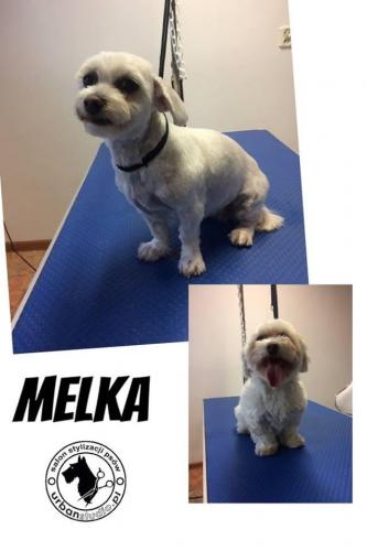 melka