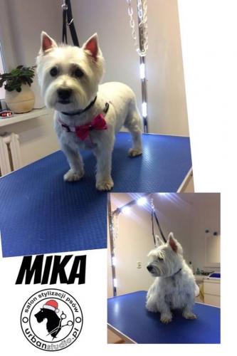 mika