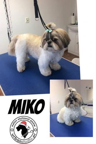 miko