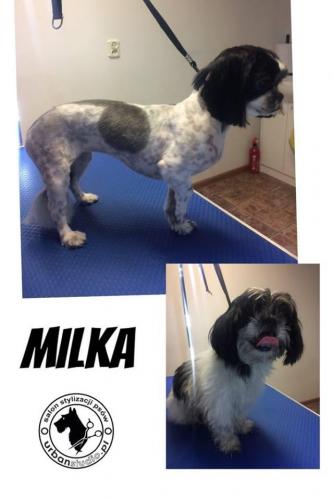 milka