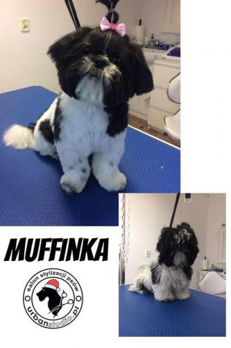muffinka