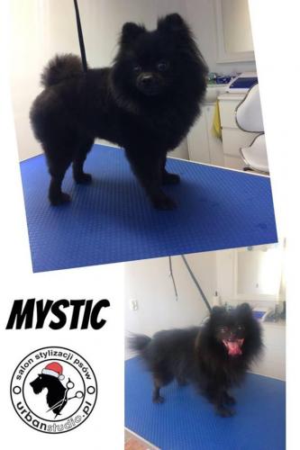 mystic