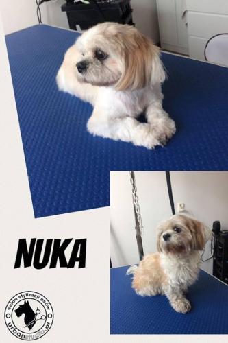 nuka