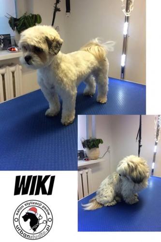 wiki
